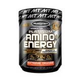 Platinum Amino + Energy 290gr Muscletech