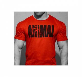 Animal Iconic T-Shirt Rossa